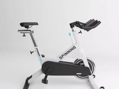 Home Spinner 3D model