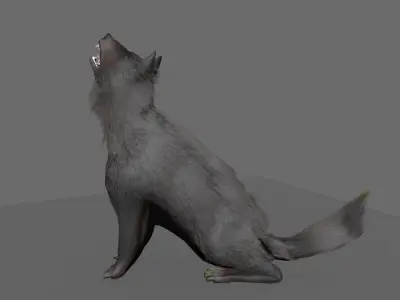 wolf rigged Low-poly 3D model