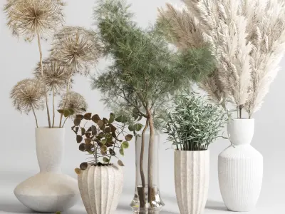 Plant and Dry  Bouquet Collection  Dried autumn plants