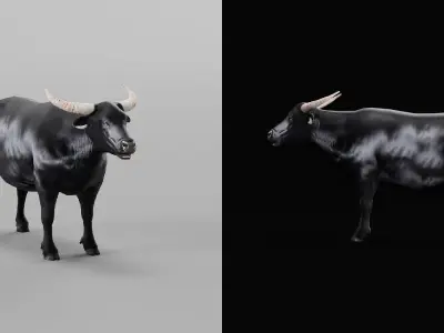 Asian Water Buffalo Low-poly 3D model