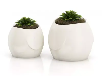 Two Plants in Bird Pots 3D model