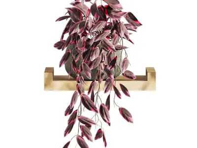 Plants Set 3D model