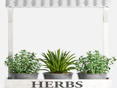 Decorative plant set-14 3D model