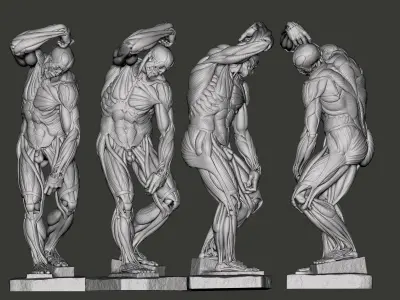 Ecorche Bearded Slave from Michelangelo 3D print model