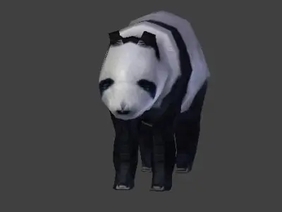 Panda Bear 3D model buy