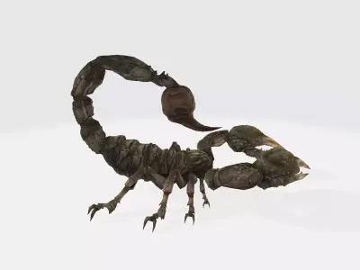 Stringer scorpion 3D model