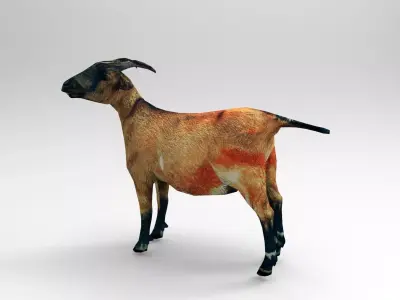 Red Goat Rigged  Low-poly 3D model