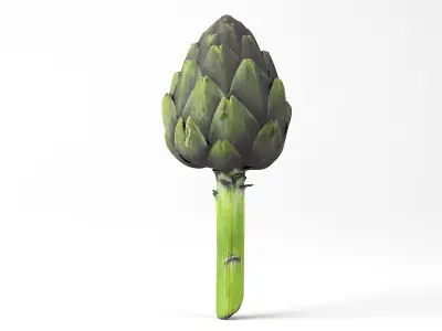 Photorealistic Artichoke 3D Scan 3D model