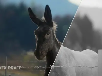 Donkey Summer Animation VFX Grace 3D model