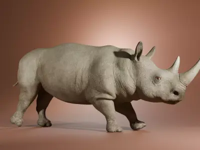 Rhinoceros 3D model purchase