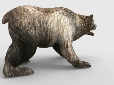 Bear Rigged 3D Models game ready  Low-poly 3D model