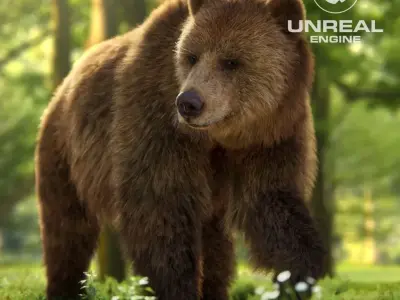 Brown Bear Female   UE Character Asset 3D model