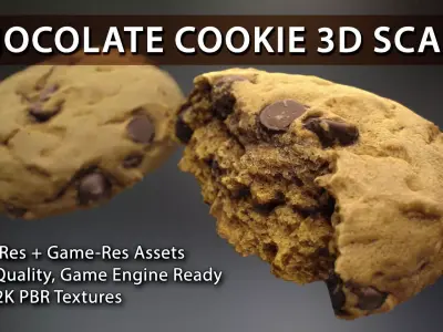 UE4 - Chocolate Cookie 3D Scans - PBR Nanite and Lowpoly Props Low-poly 3D model