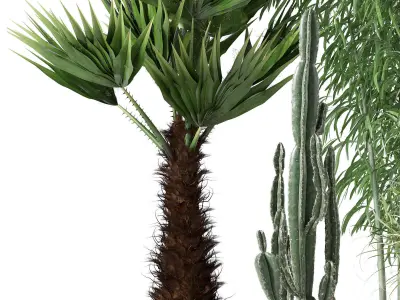Plants collection 129 3D model