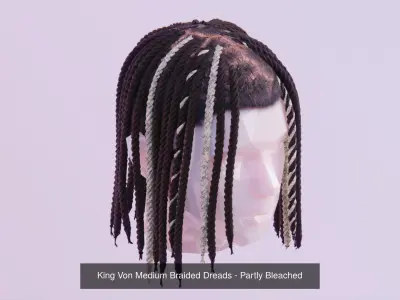 Long Hair Bundle 3D Model Collection