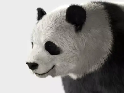Panda with realistic fur 3D model
