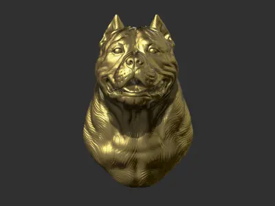 American bully head version 2 3D print model