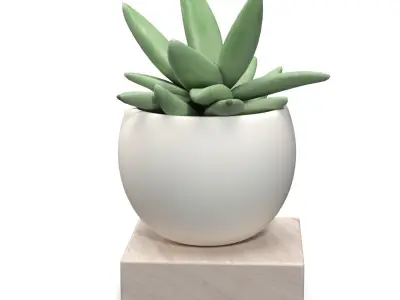 Mini Decorative Fake Succulent Artificial Plants PBR 3D model