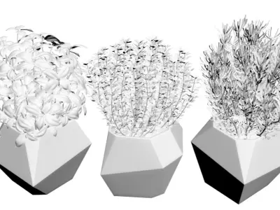 Pots with plants 3D model