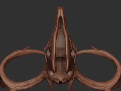 Deer Antler 01 Highpoly 3D model