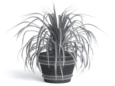Spider Plant III 3D model