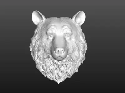 Bear head 3D model shop