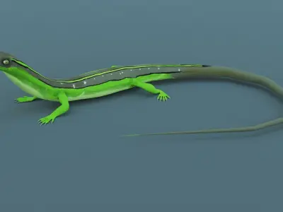 Lizard - Low Poly - Game Ready - PBR - Rigged Low-poly 3D model