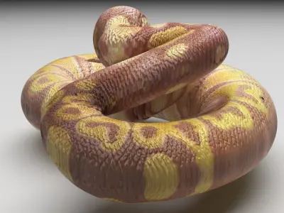 Banana Ball Python Snake 3D model