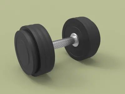 Dumbbell 3-12 kg 3D model