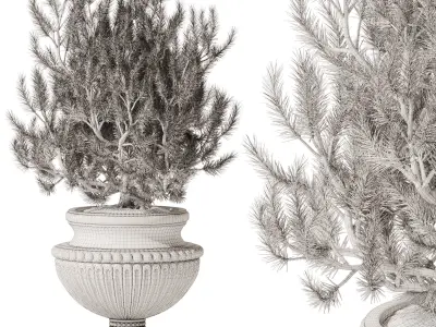 Decorative Pine In Classic Vase 3D model