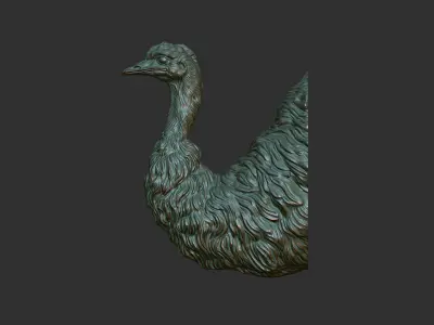 Emu ostrich bust 3D print model