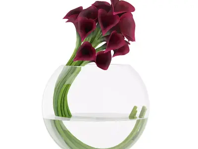 Calla Lilies in Spherical Vase 3D model