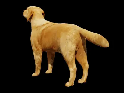 Dog Lowpoly Model golden retriever Low-poly 3D model