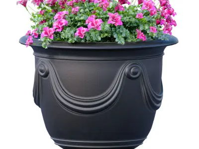 Flowerbed Petunia flowers plant  Luxury garden pots  3D model