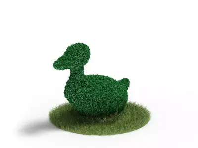 Plant   Topiary Duck 3D model