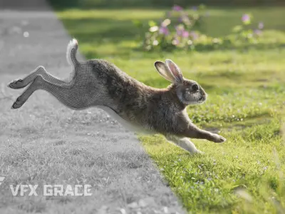 Japanese hare Animated VFX Grace 3D model