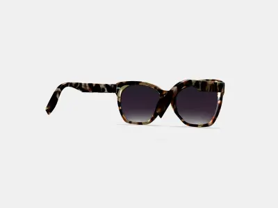 Rhea Low Bridge Fit Sunglasses in Truffle Tortoise 3D model