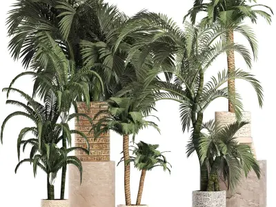 Plants Collection 202 Egyptian Palms 3D model