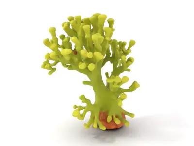 Vibrant Green Coral model pack Low-poly 3D model