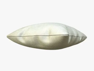 Fabric Pillow Cushion 3D model
