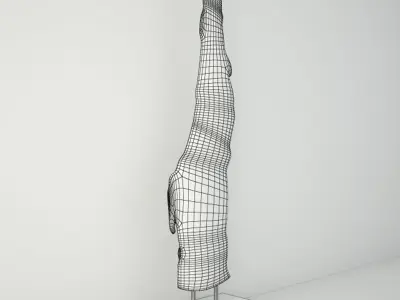 Natura Root Wood 3D model