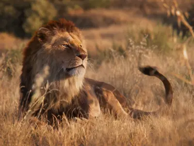 Male Lion Animated VFX Grace 3D model