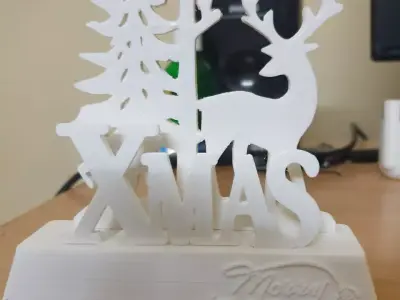 CHRISTMAS GIFT 3D PRINTED 3D print model