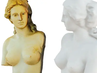 Bas-relief of a Woman on the Wall 3D model