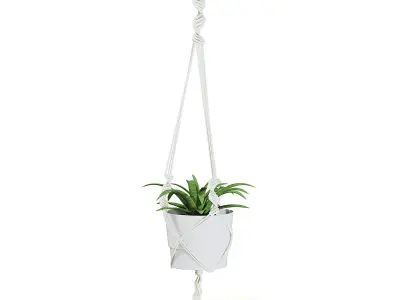 Plant in White Hanging Pot 3D Model 3D model