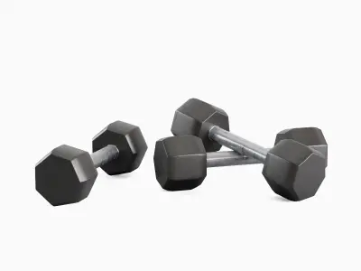 Steel Dumbbell 01 Low-poly 3D model