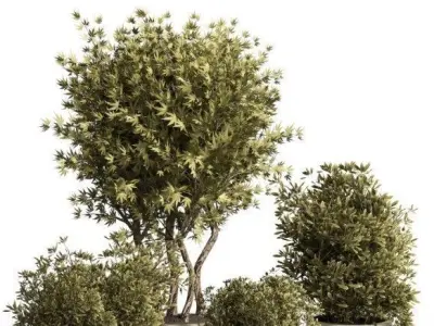 Collection Outdoor plant dried  in metal vase 17 Low-poly 3D model