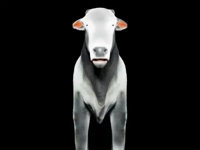 ox for game 3D model