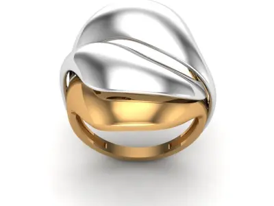 jewelry Total 40 model 3D print model