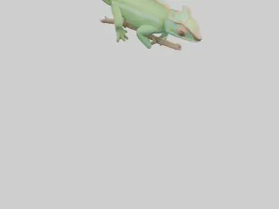 Parsons Chameleon displaying model Low-poly 3D model